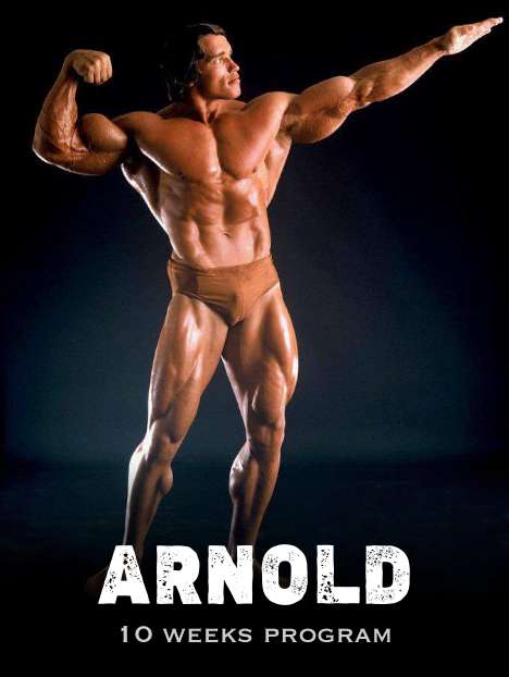 arnold treino hipertrofia