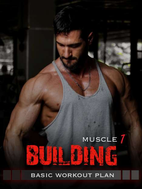 muscle building 1