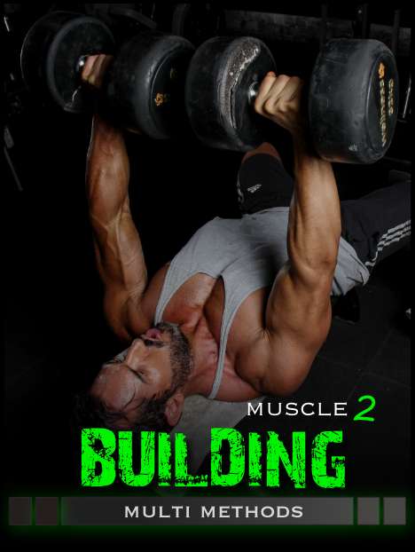 muscle building 2