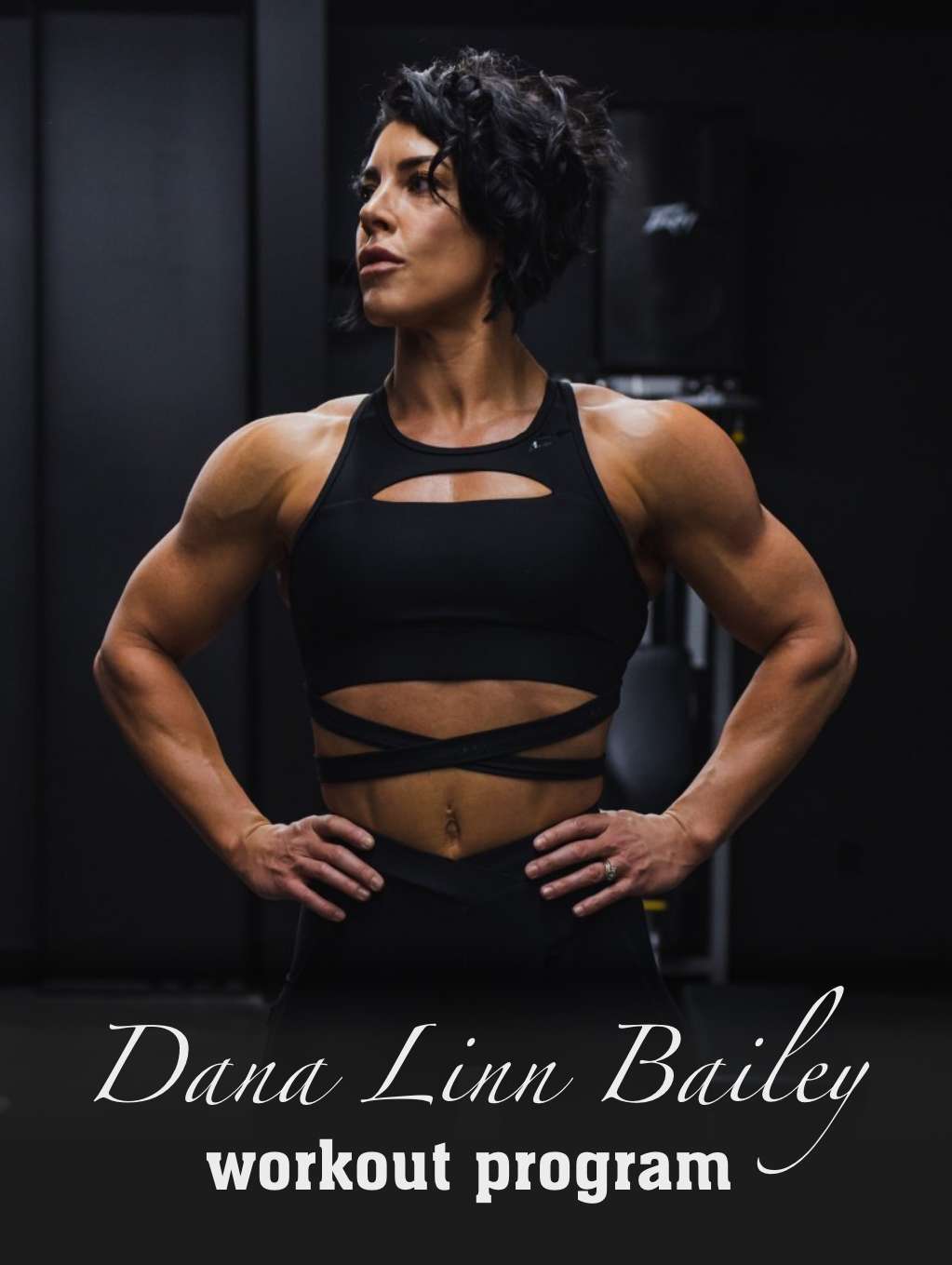 dana linn bailey treino workout